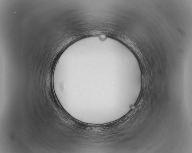 X0000113600297200909181115