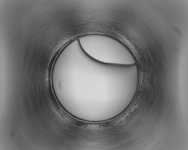 X0000113600298200909181115