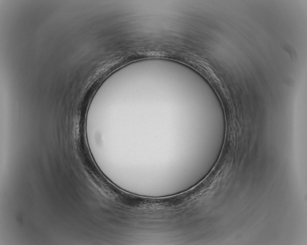 X0000113600299200909181115