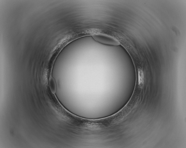 X0000113600300200909181115