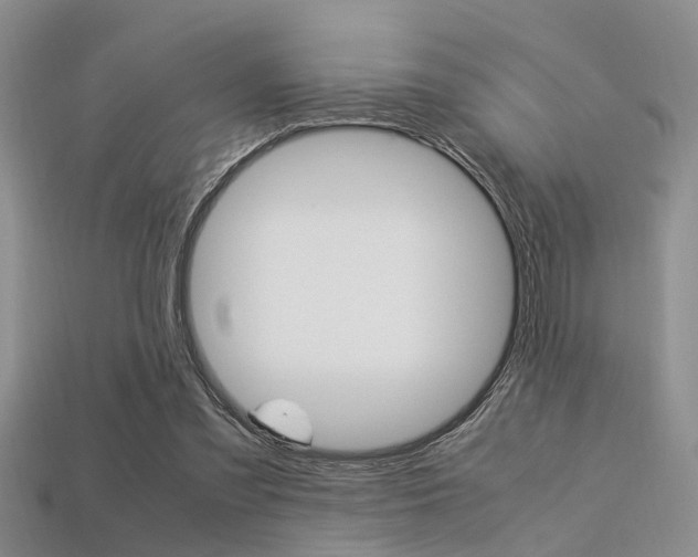 X0000113600301200909181115