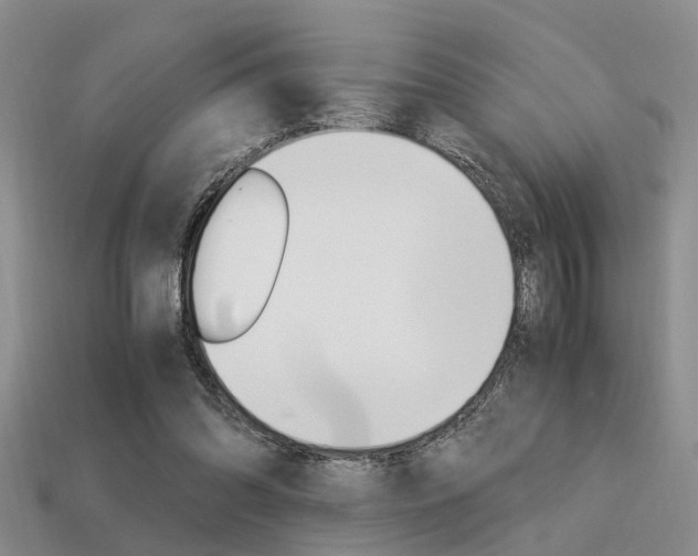 X0000113600302200909181115