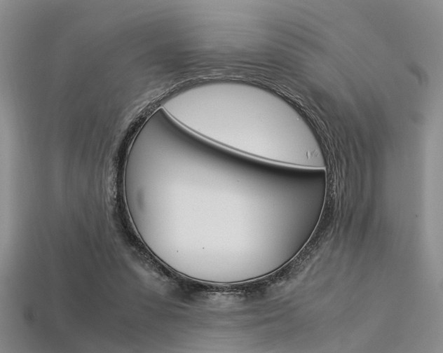 X0000113600303200909181115