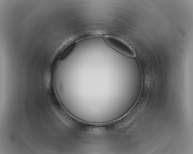 X0000113600304200909181115