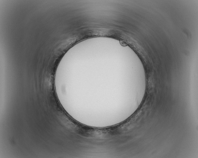 X0000113600305200909181115