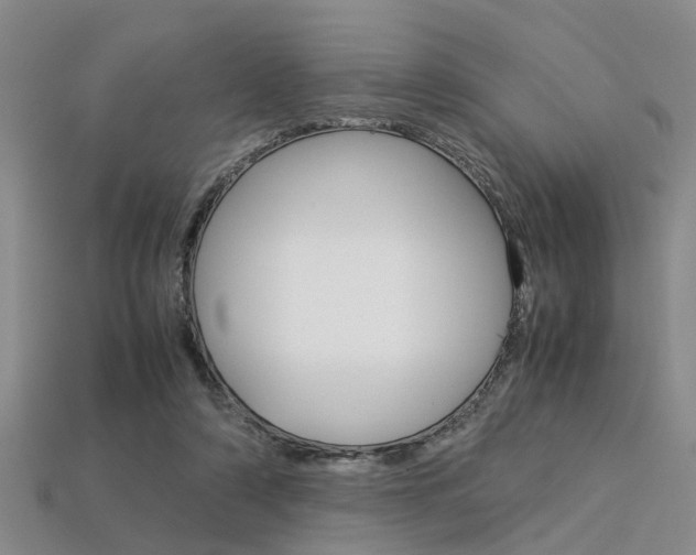 X0000113600306200909181115