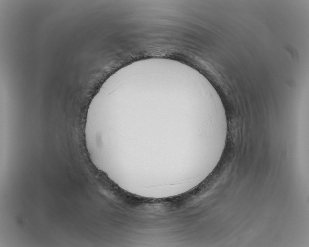 X0000113600307200909181115