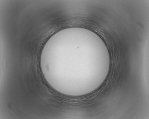 X0000113600309200909181115