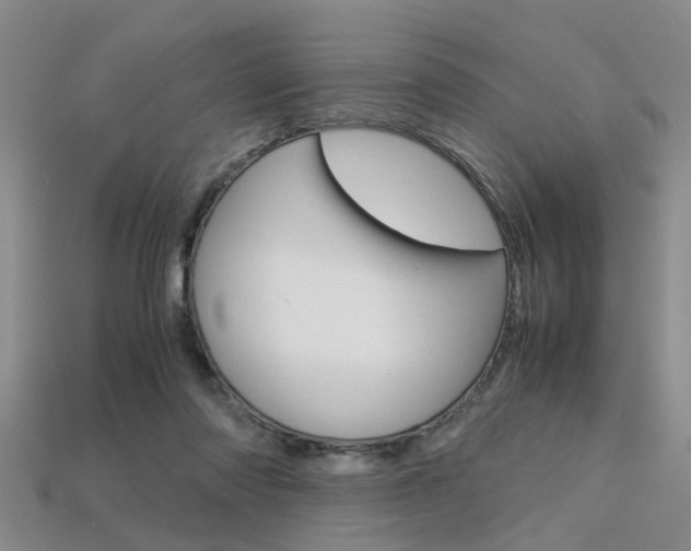 X0000113600310200909181115