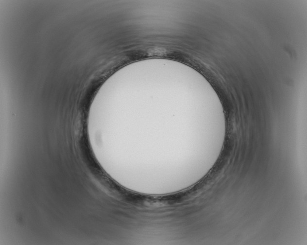 X0000113600311200909181115