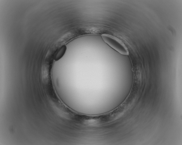 X0000113600312200909181115