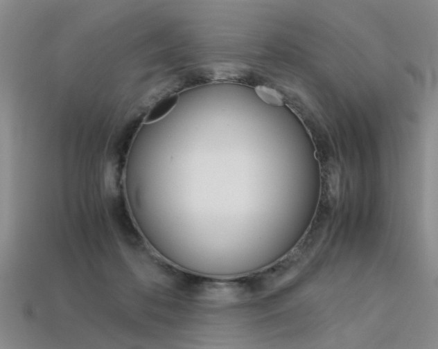X0000113600316200909181114