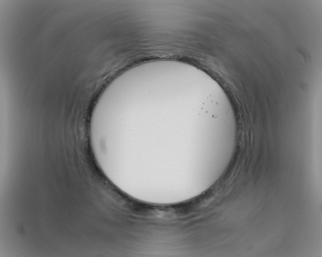 X0000113600317200909181114