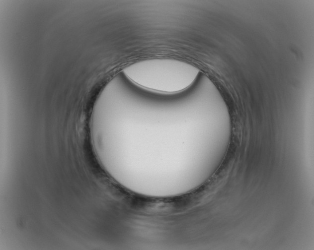 X0000113600319200909181114