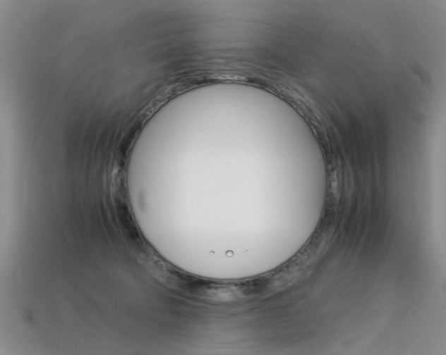 X0000113600322200909181114