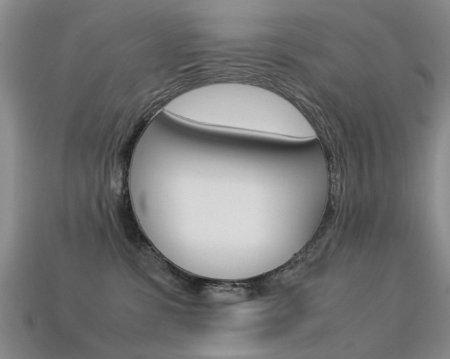 X0000113600331200909181114