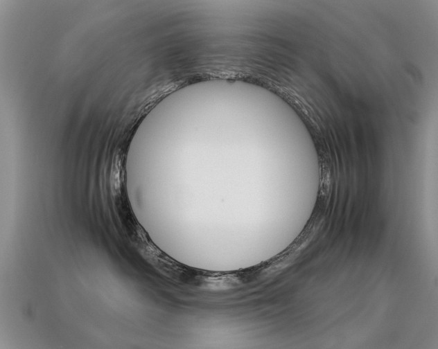 X0000113600334200909181114