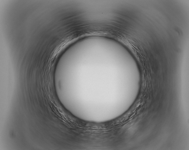 X0000113600337200909181114