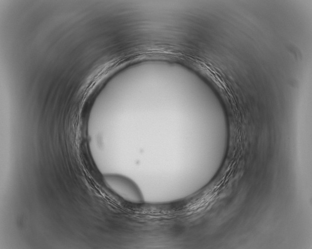 X0000113600338200909181114
