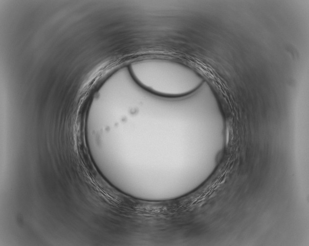 X0000113600339200909181114