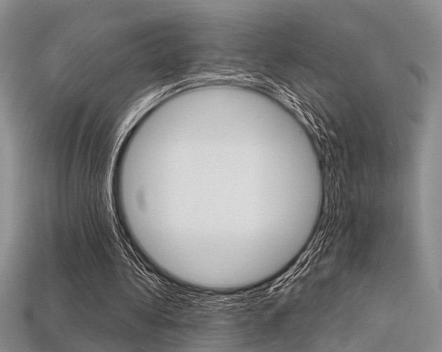 X0000113600340200909181114