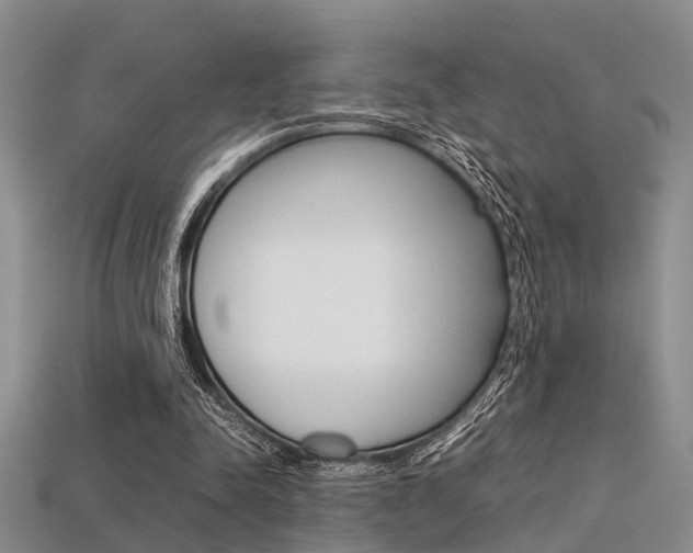 X0000113600342200909181114