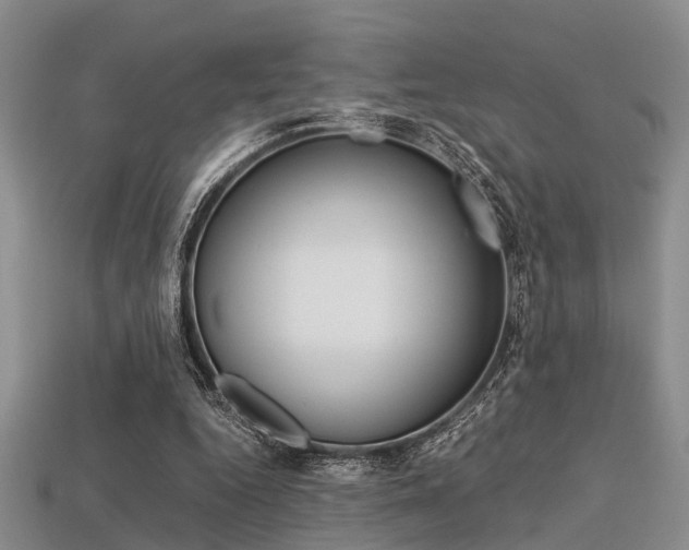 X0000113600344200909181114