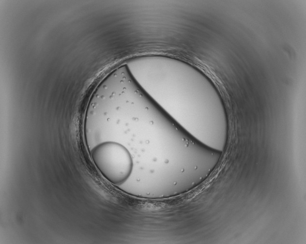 X0000113600346200909181114