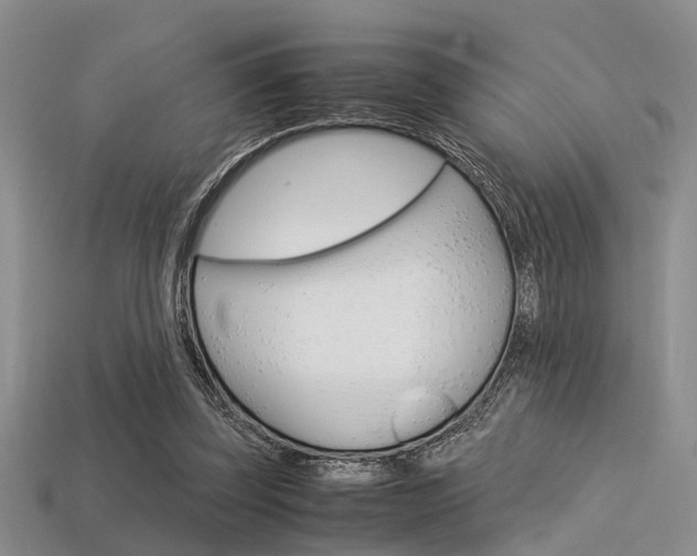 X0000113600347200909181114