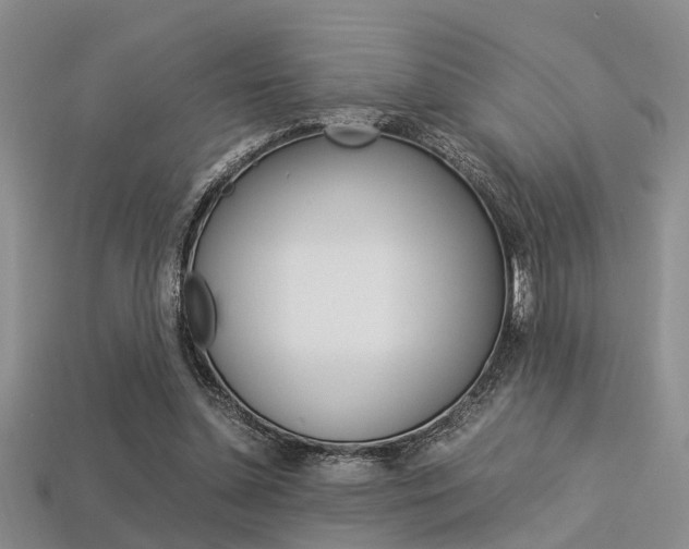 X0000113600348200909181114