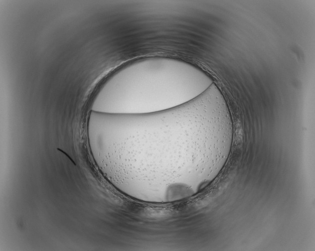 X0000113600351200909181114