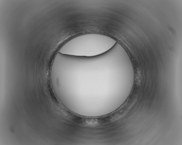 X0000113600355200909181114