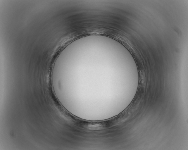 X0000113600357200909181114