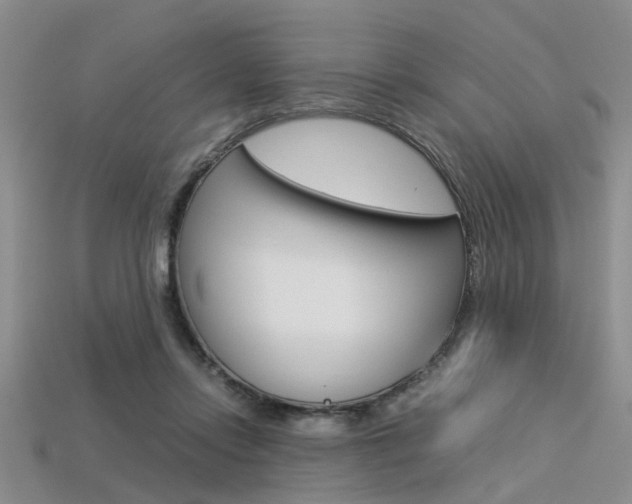 X0000113600358200909181114