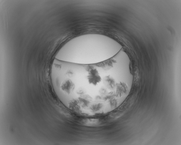 X0000113600361200909181114