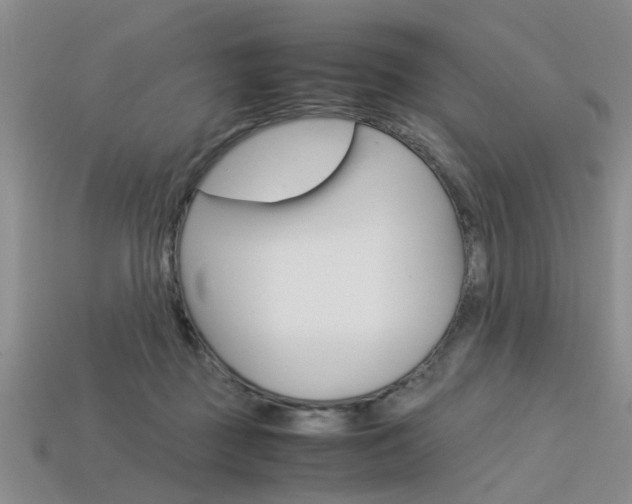 X0000113600363200909181114
