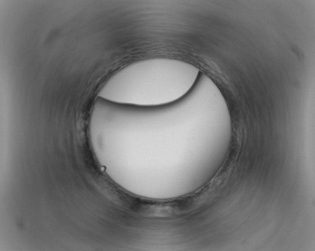 X0000113600366200909181114