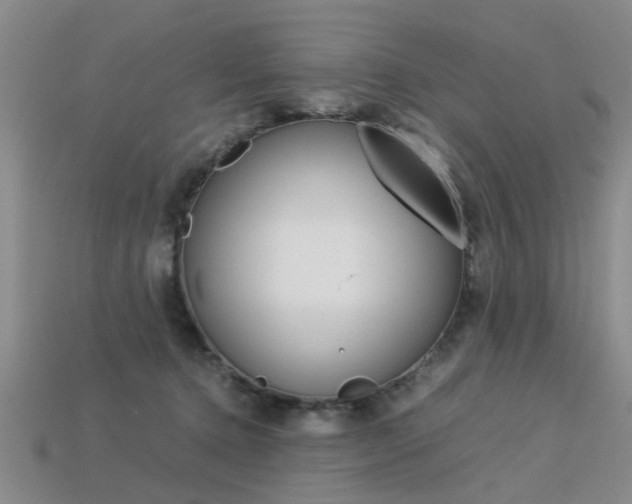 X0000113600368200909181114