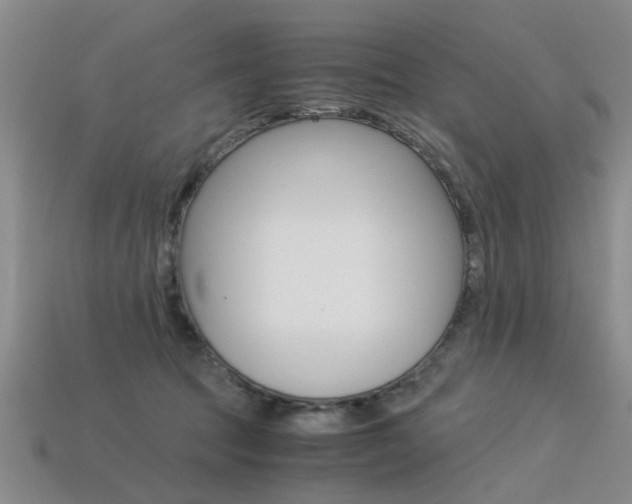 X0000113600369200909181114