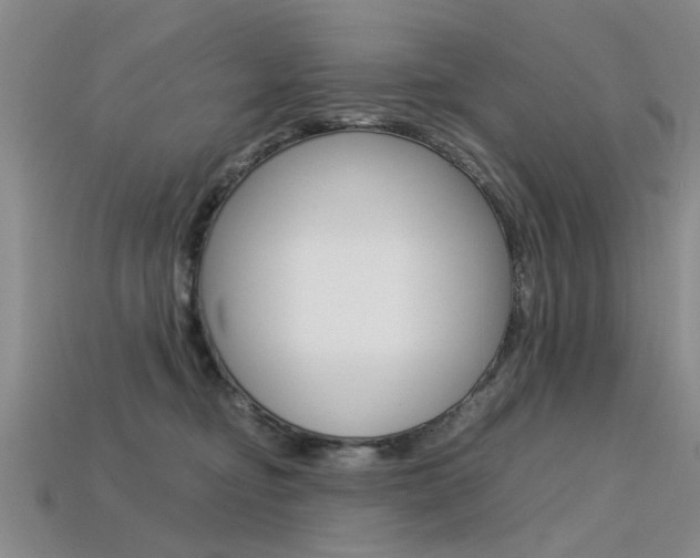 X0000113600374200909181114