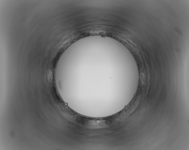X0000113600375200909181114