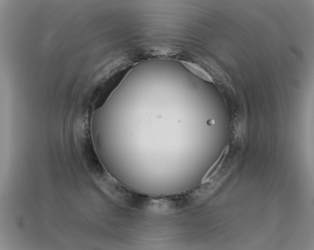 X0000113600376200909181114