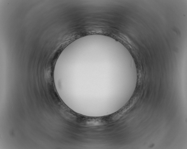 X0000113600377200909181114