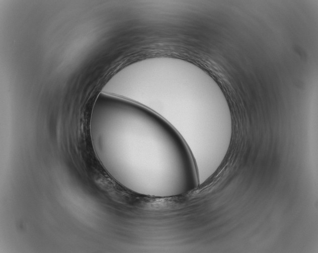 X0000113600382200909181114