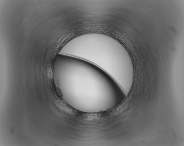X0000113600384200909181114