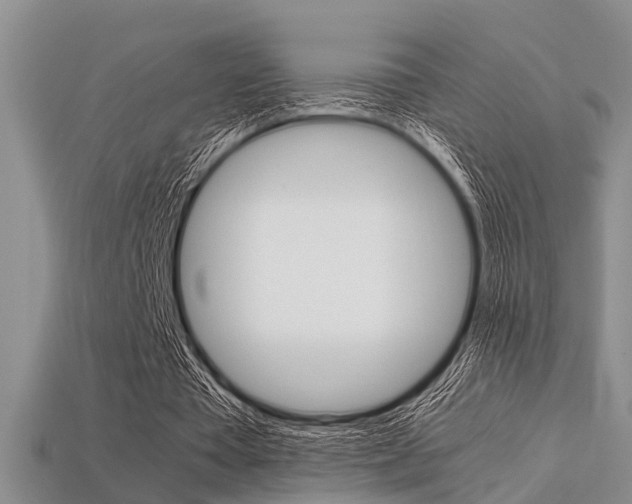 X0000113600385200909181114