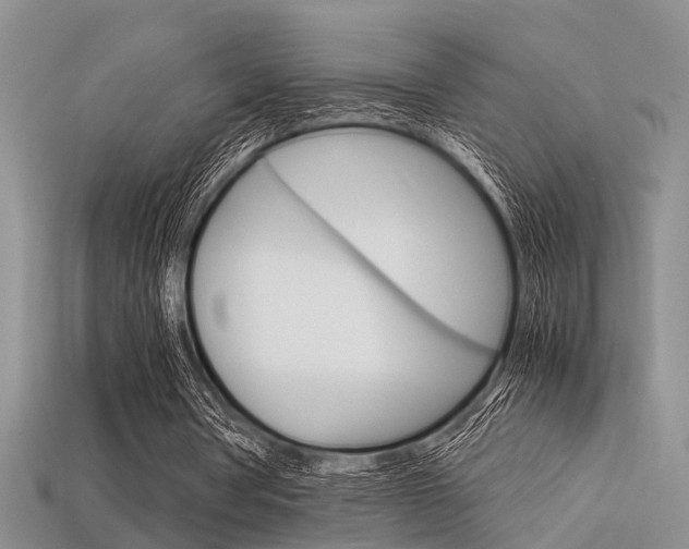 X0000113600386200909181114