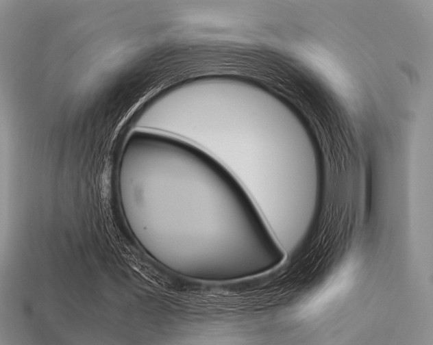 X0000113600387200909181114