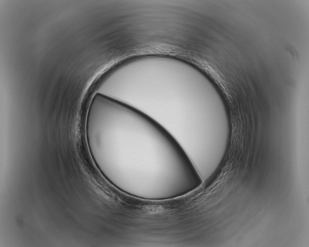 X0000113600392200909181113