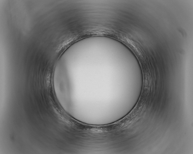 X0000113600394200909181113